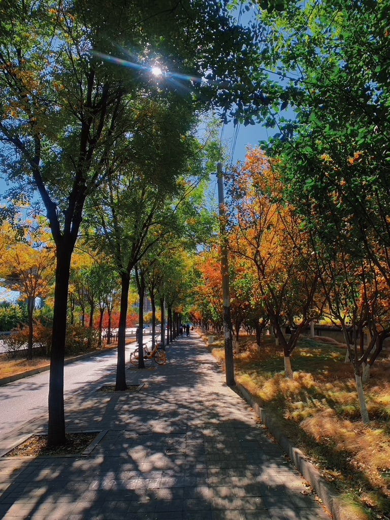 小区门口的马路